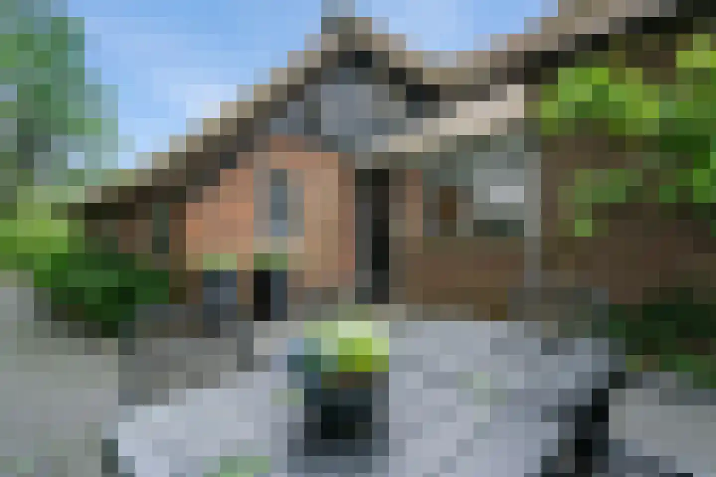 Langesteeg 10 Giethoorn thumbnail 69