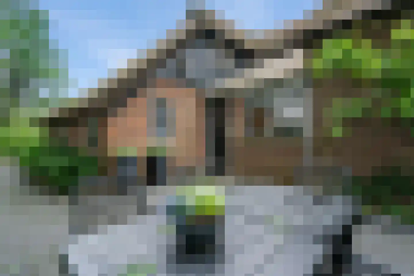 Langesteeg 10 Giethoorn thumbnail 70