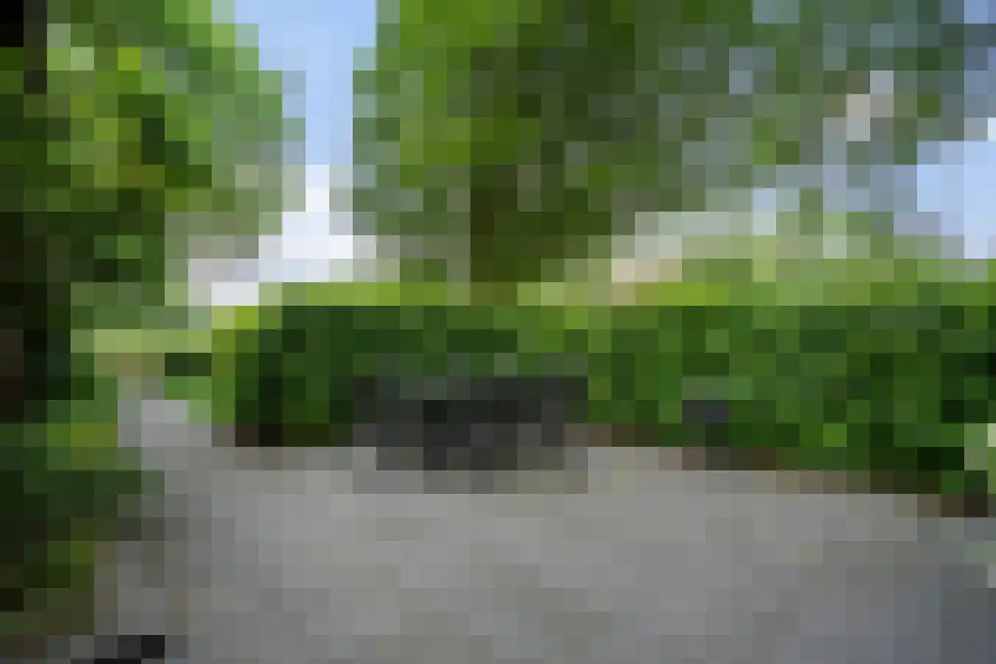 Langesteeg 10 Giethoorn thumbnail 71