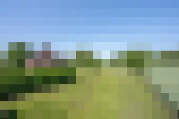 Langesteeg 10 Zoelen thumbnail 13