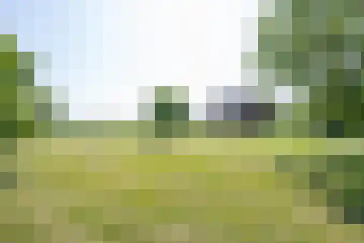 Langesteeg 10 Zoelen thumbnail 17