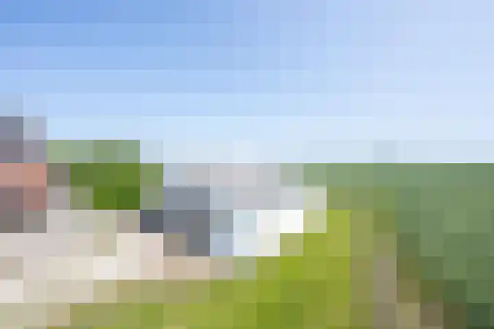 Langesteeg 10 Zoelen thumbnail 29