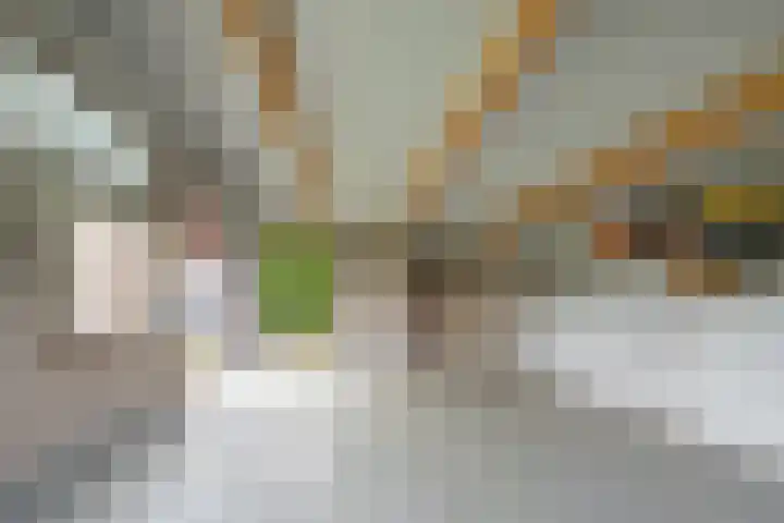 Langesteeg 10 Zoelen thumbnail 34