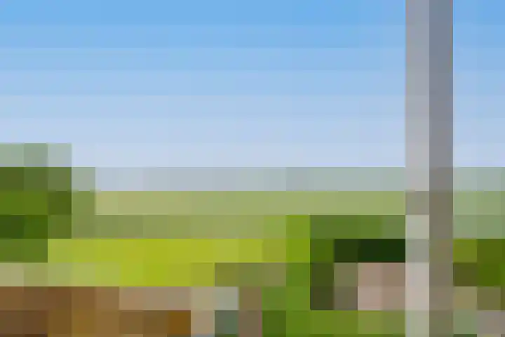 Langesteeg 10 Zoelen thumbnail 4