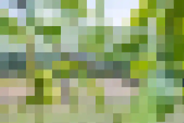 Langesteeg 10 Zoelen thumbnail 40