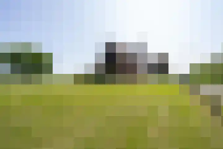Langesteeg 10 Zoelen thumbnail 43