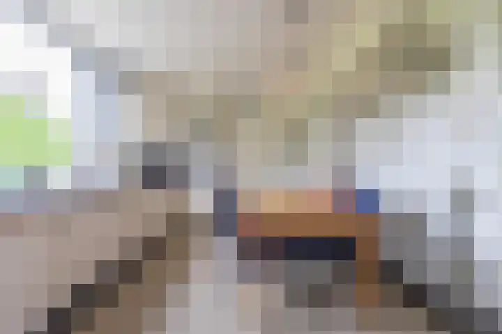 Langesteeg 10 Zoelen thumbnail 52