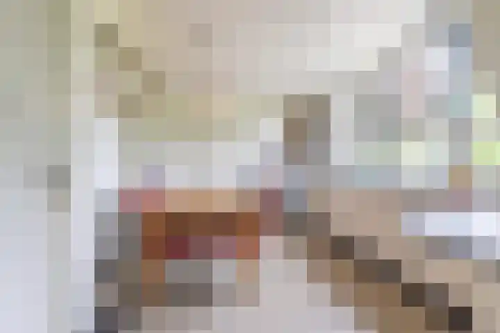 Langesteeg 10 Zoelen thumbnail 53