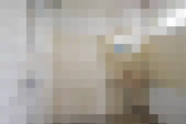 Langesteeg 10 Zoelen thumbnail 56