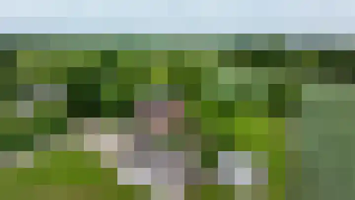 Langesteeg 10 Zoelen thumbnail 63