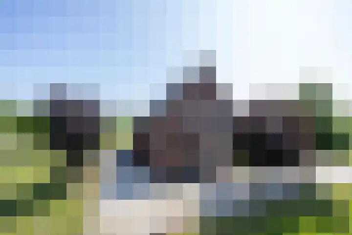 Langesteeg 10 Zoelen thumbnail 65