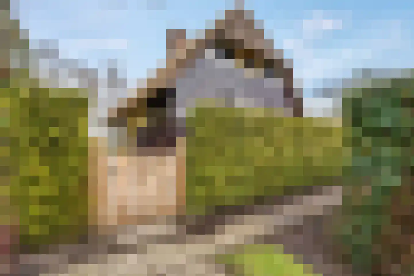 Langesteeg 12 e Giethoorn thumbnail 6