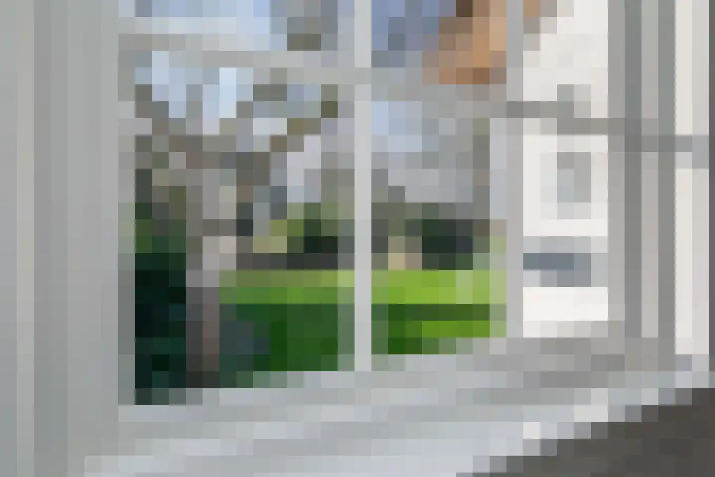 Langesteeg 18 Giethoorn thumbnail 22