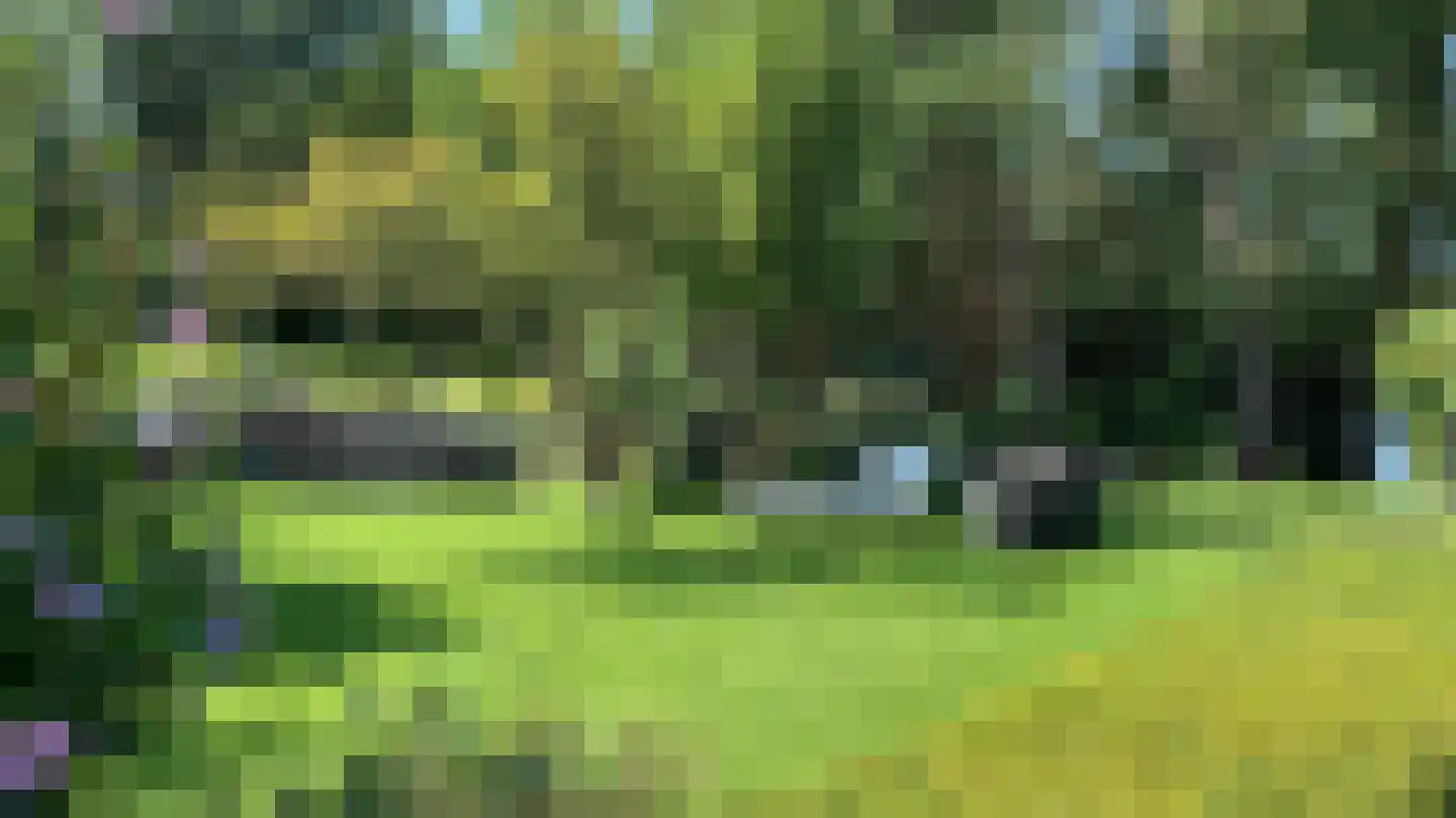 Langesteeg 18 Giethoorn thumbnail 42