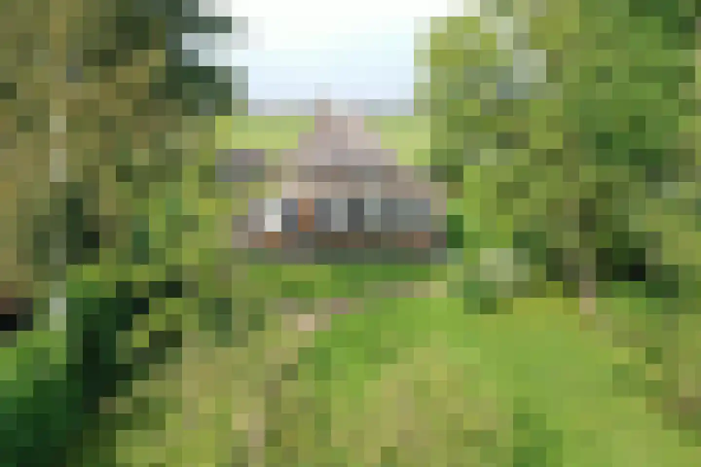 Langesteeg 18 Giethoorn thumbnail 47