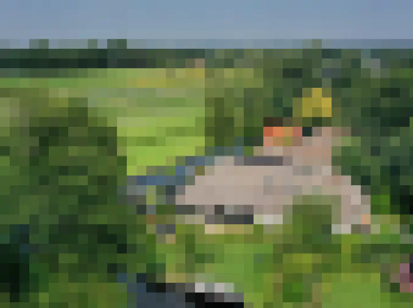 Langesteeg 18 Giethoorn thumbnail 48
