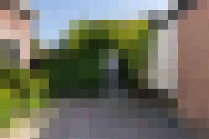 Langesteeg 6 Werkendam thumbnail 35
