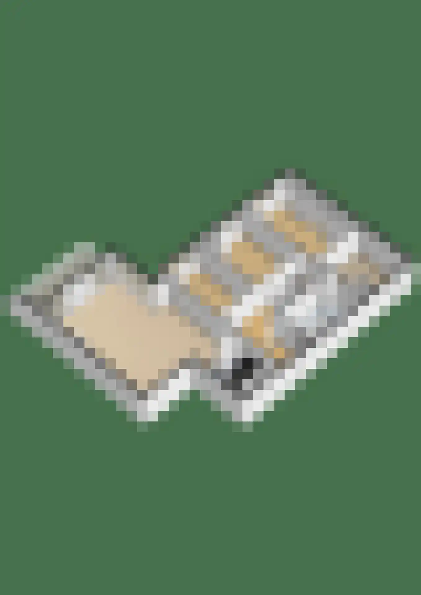 Langestraat 1 C Den Helder thumbnail 35