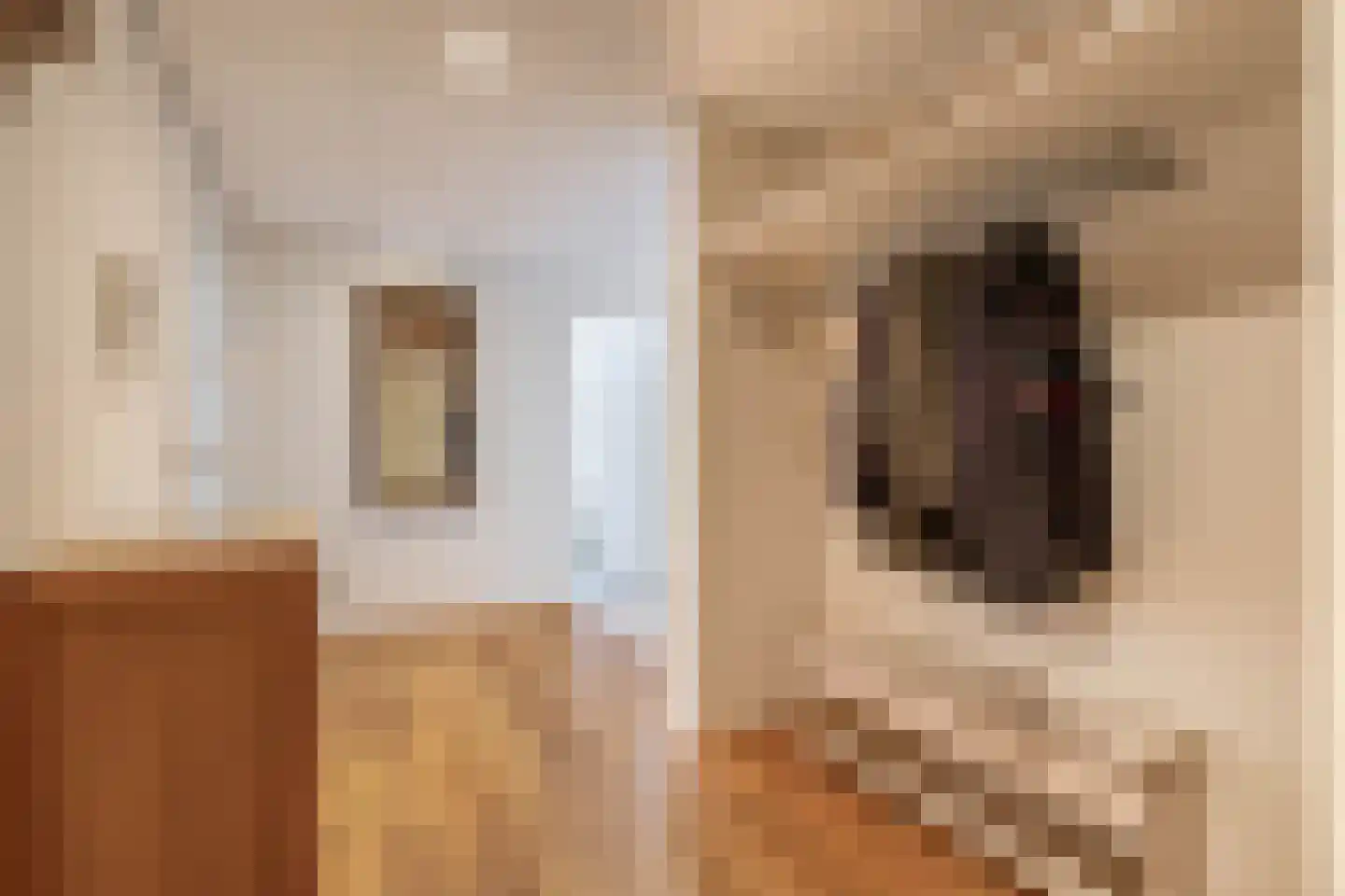 Langestraat 1 C Den Helder thumbnail 6