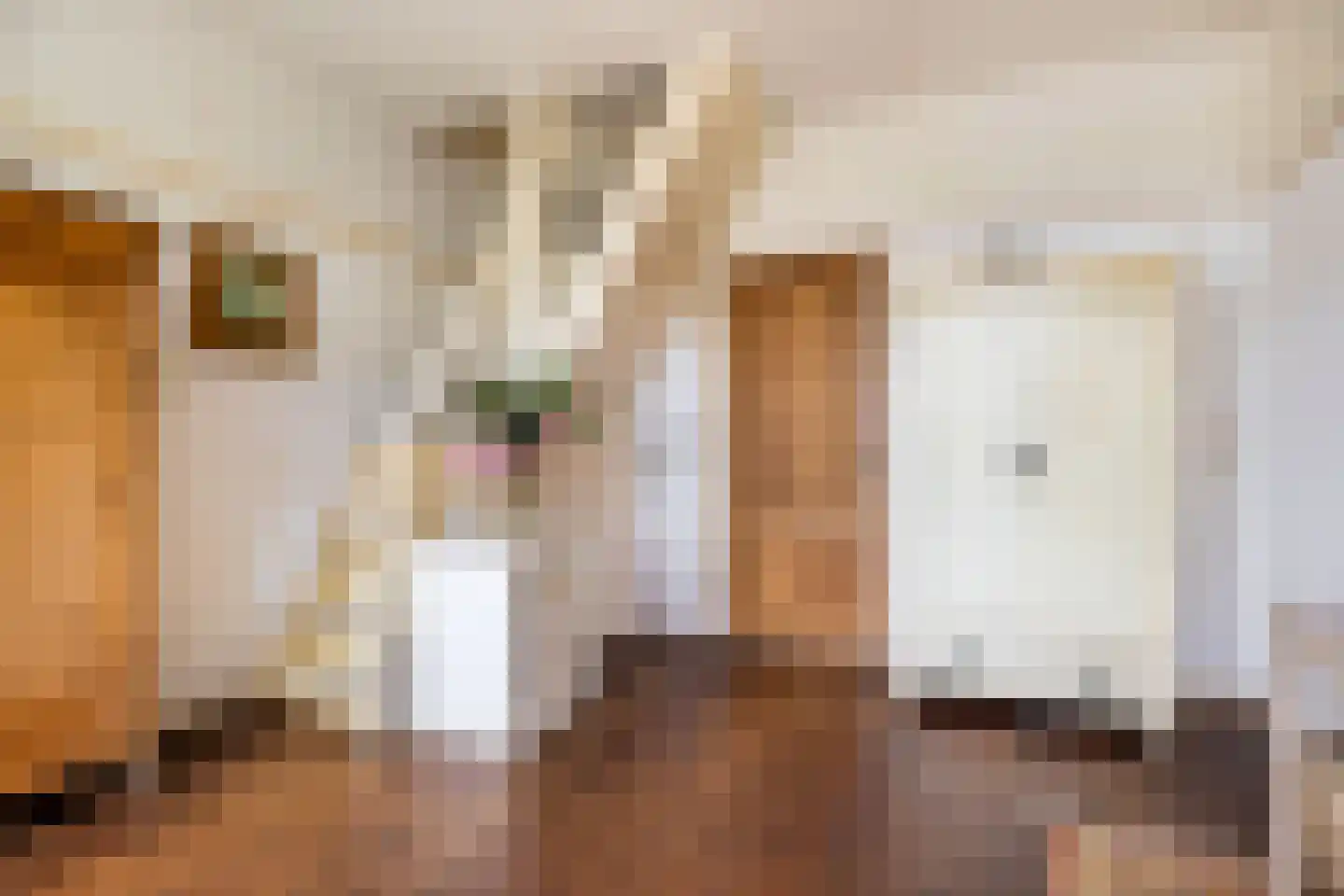 Langestraat 10 Bitgummole thumbnail 18