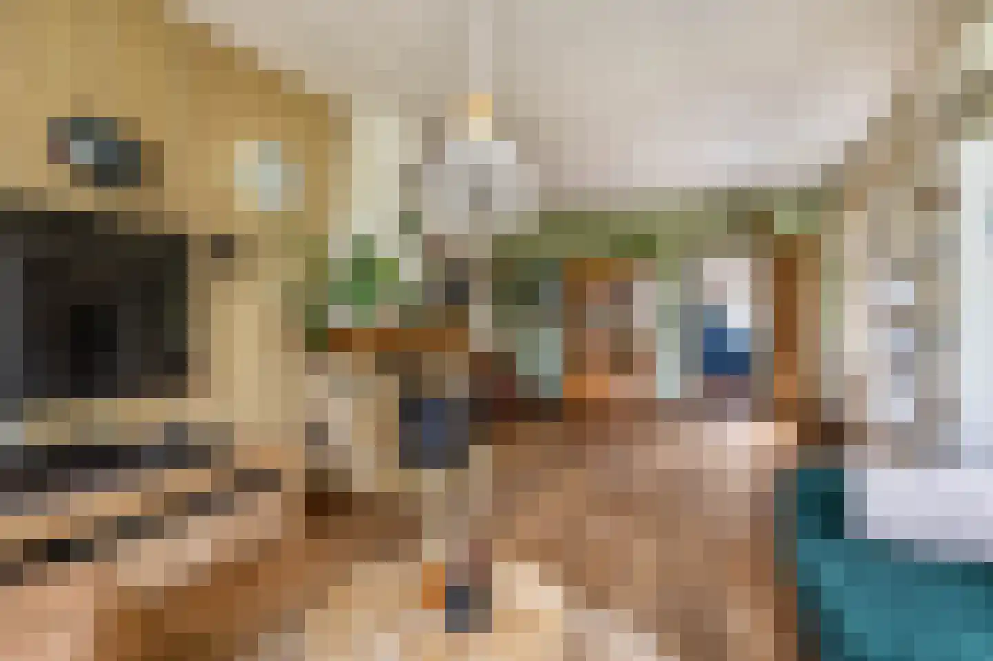 Langestraat 10 Bitgummole thumbnail 26