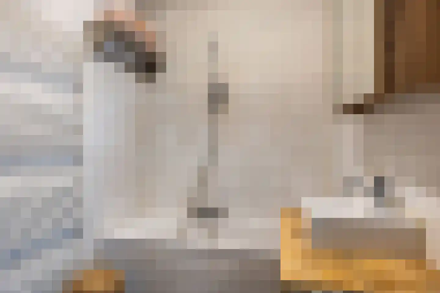 Langestraat 10 Bitgummole thumbnail 44