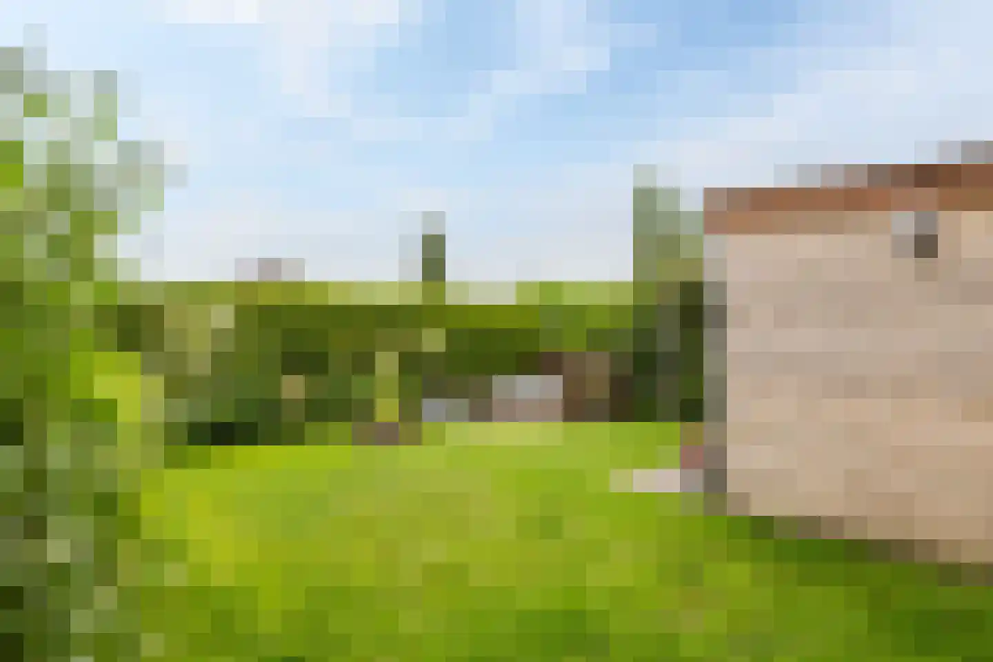 Langestraat 10 Bitgummole thumbnail 46