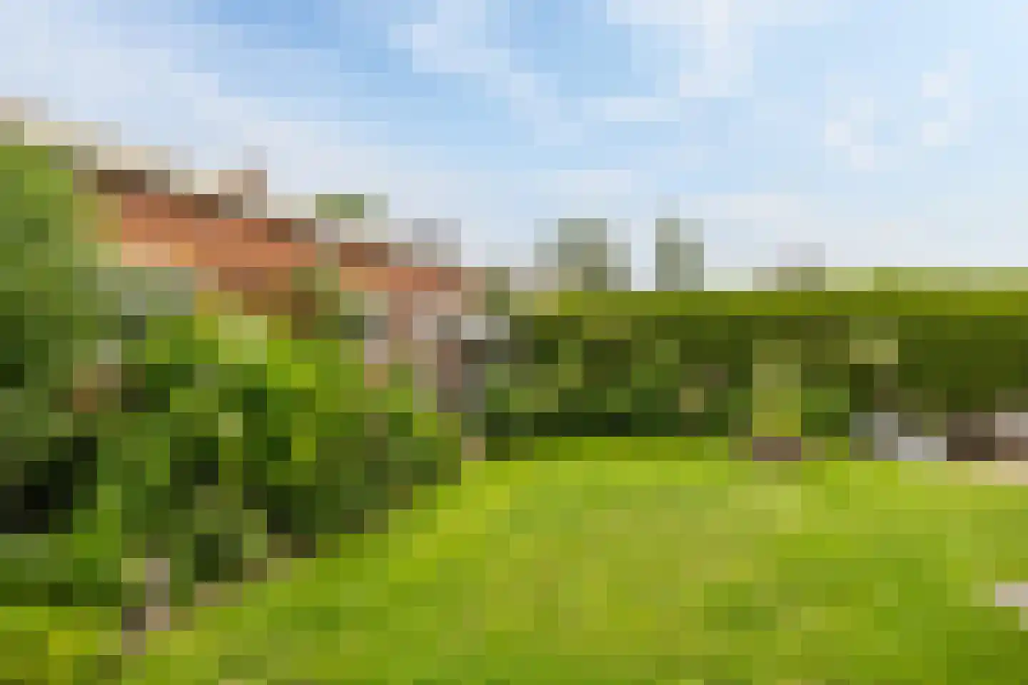 Langestraat 10 Bitgummole thumbnail 47