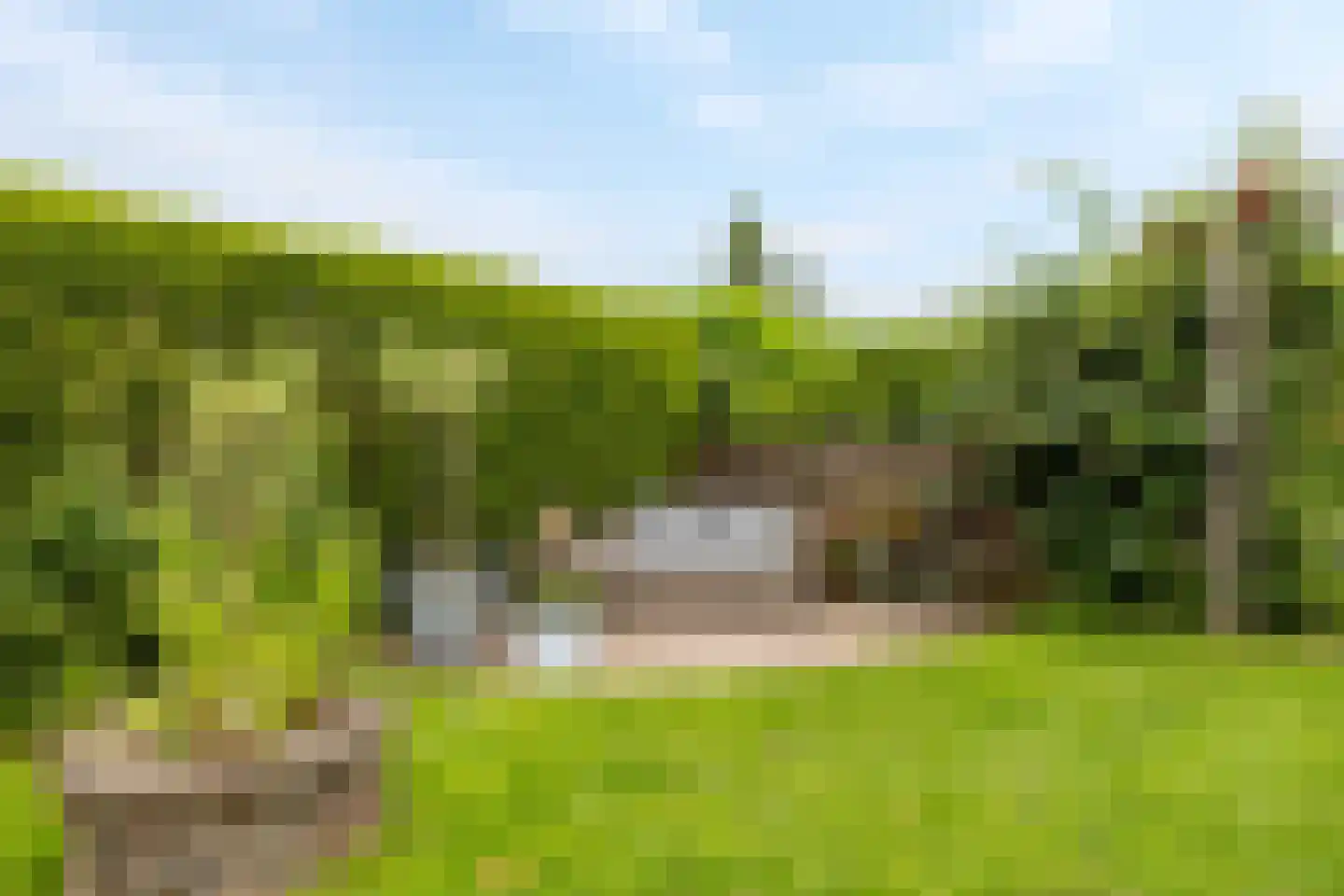Langestraat 10 Bitgummole thumbnail 49