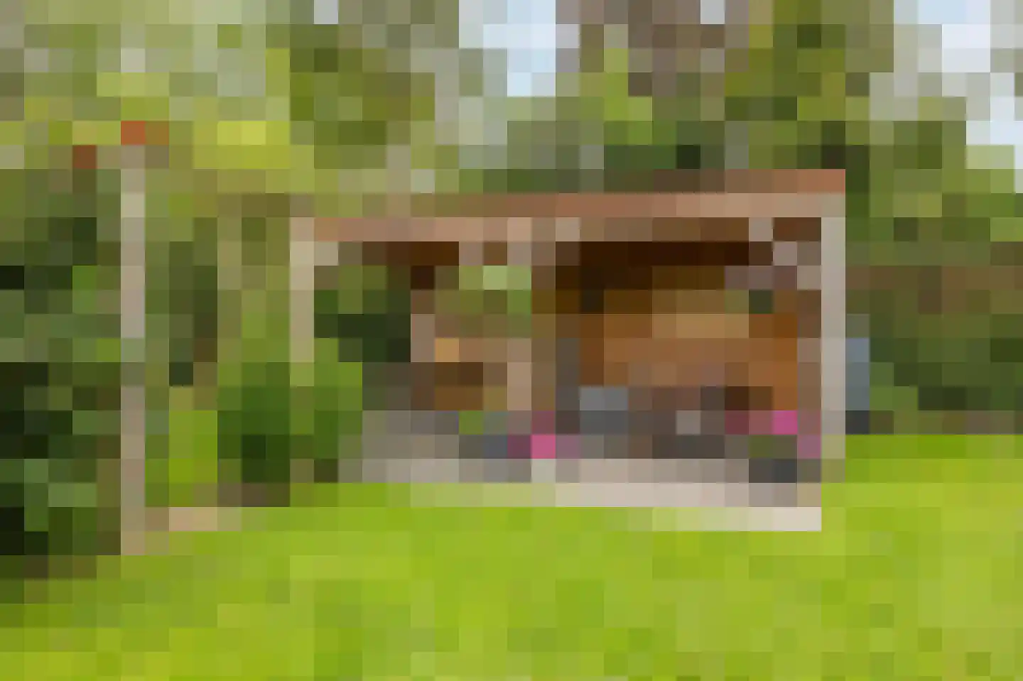 Langestraat 10 Bitgummole thumbnail 50
