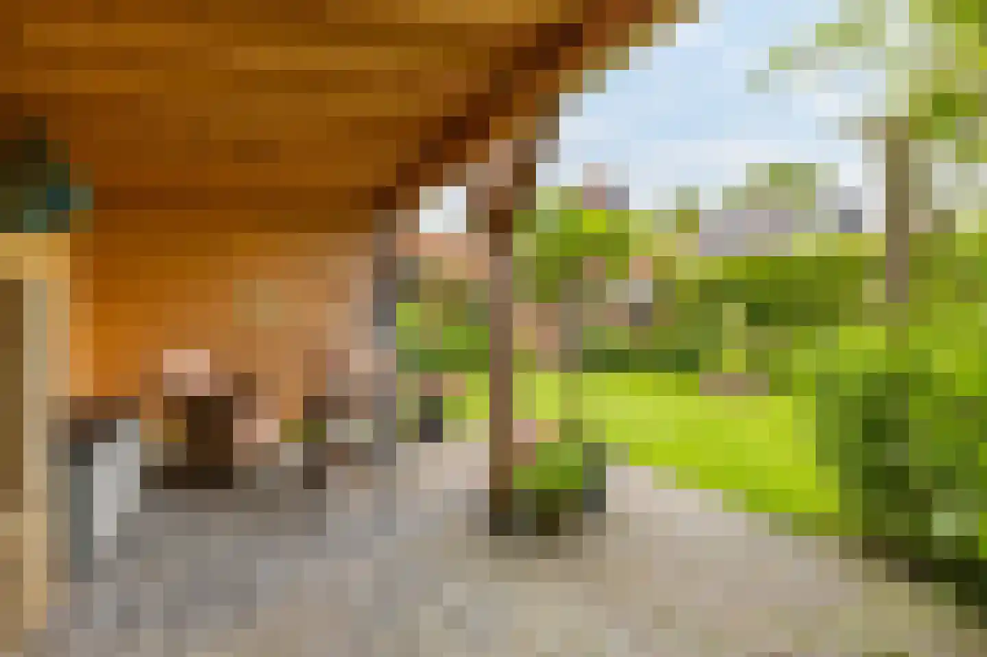 Langestraat 10 Bitgummole thumbnail 51