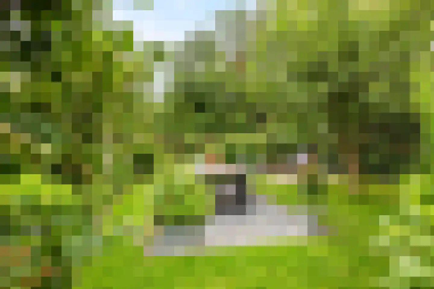 Langestraat 10 Bitgummole thumbnail 53