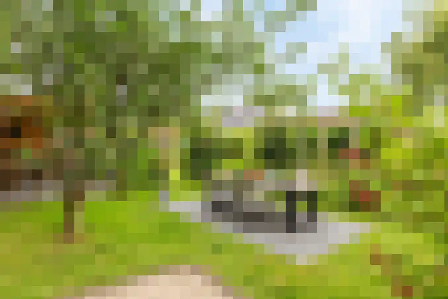 Langestraat 10 Bitgummole thumbnail 54