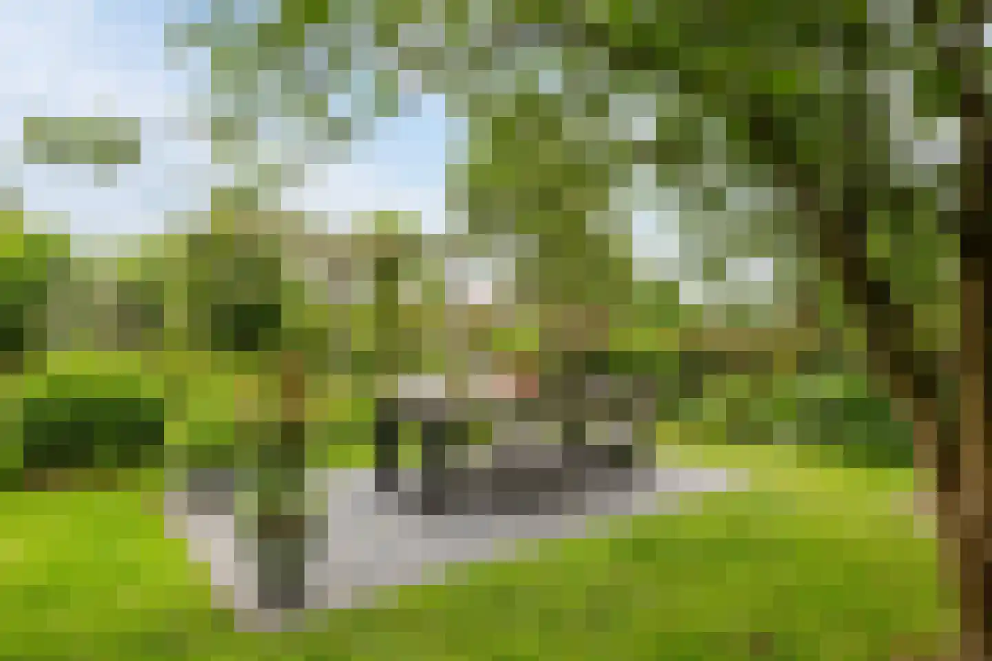 Langestraat 10 Bitgummole thumbnail 55