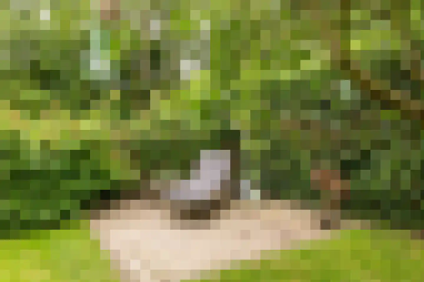 Langestraat 10 Bitgummole thumbnail 56