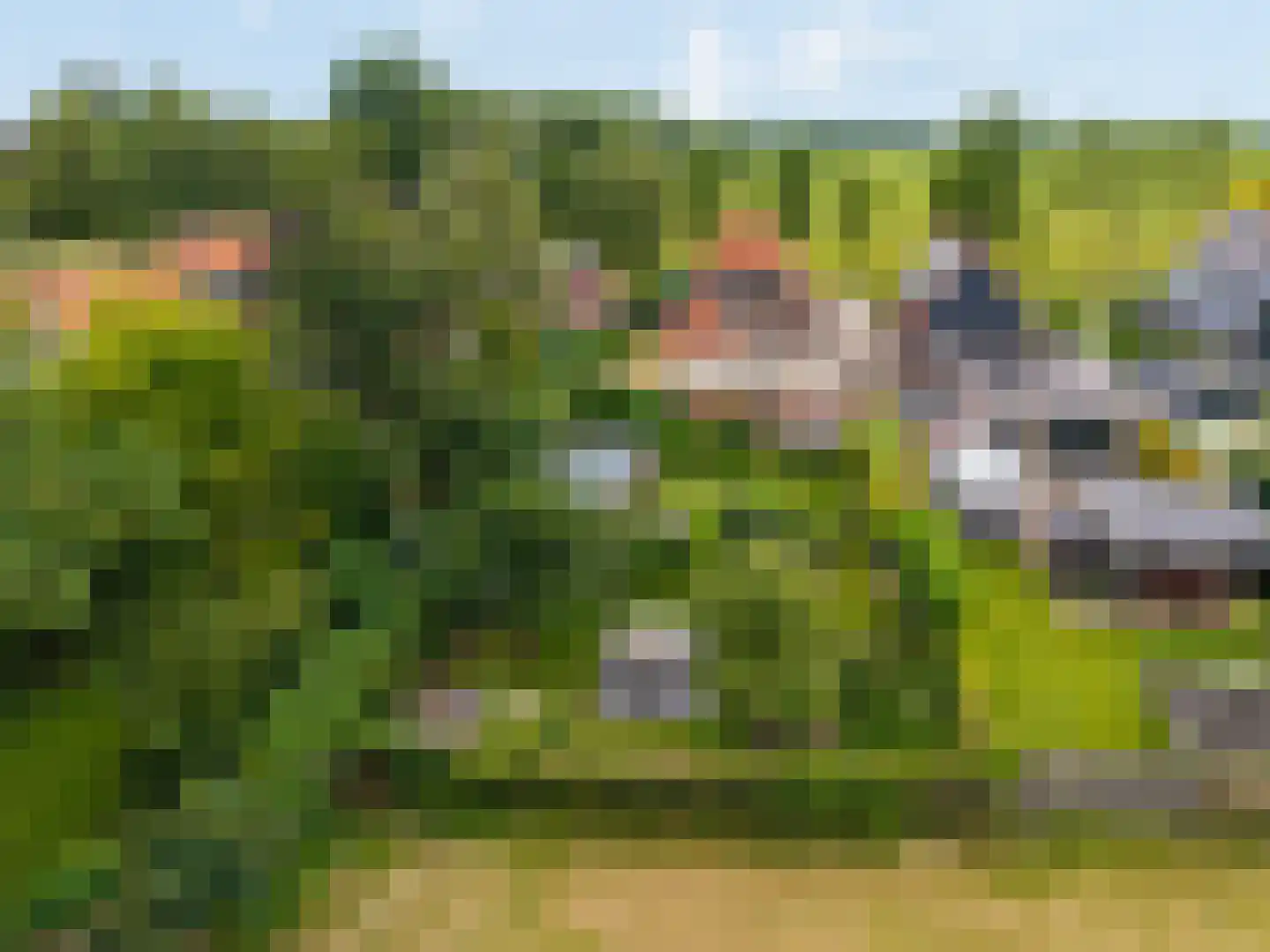 Langestraat 10 Bitgummole thumbnail 58
