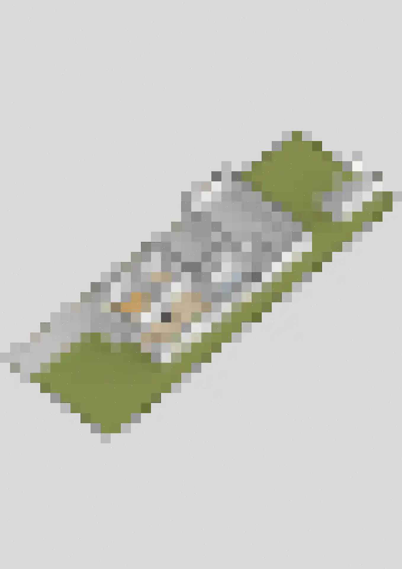 Langestraat 10 Bitgummole thumbnail 71