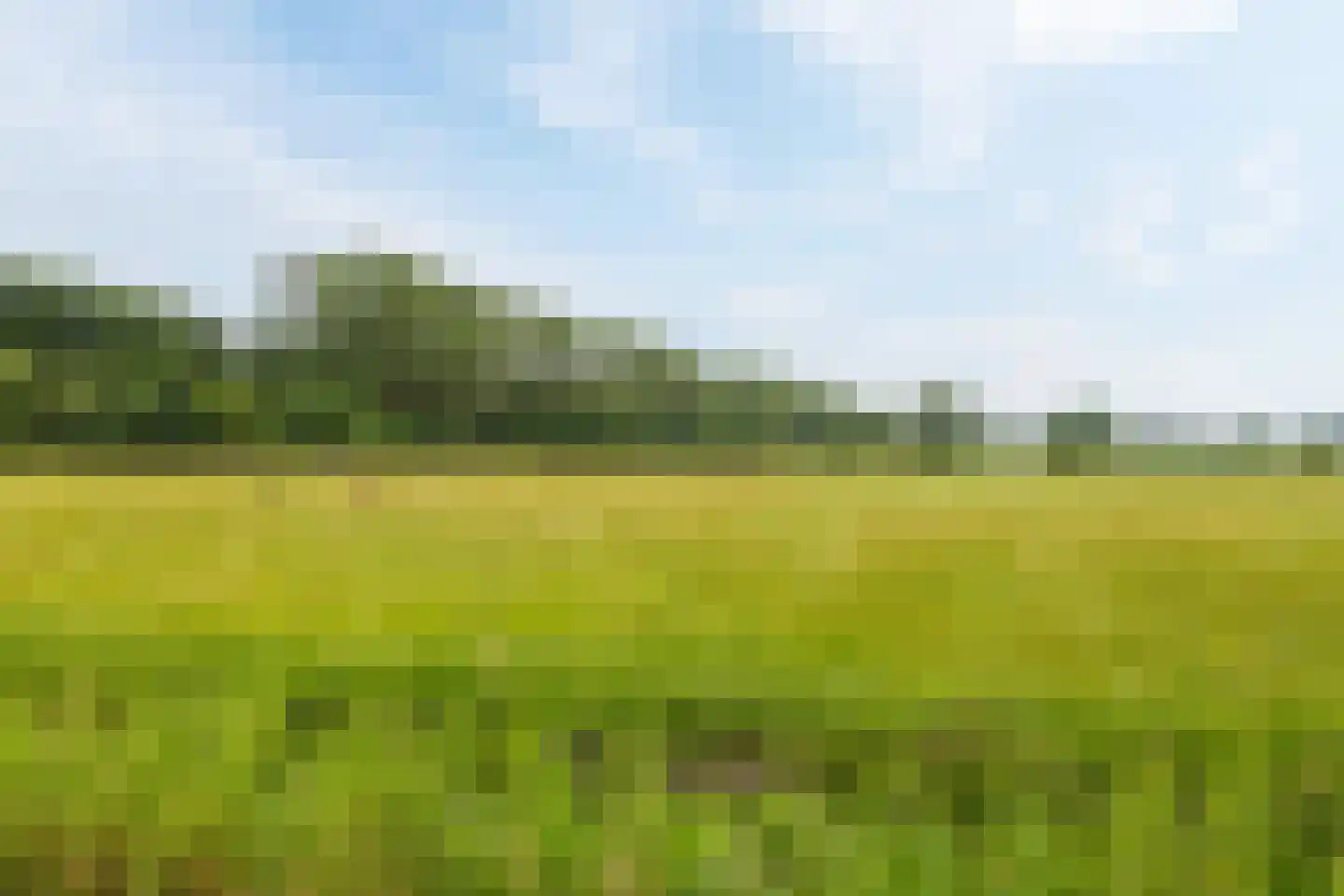 Langestraat 10 Bitgummole thumbnail 8