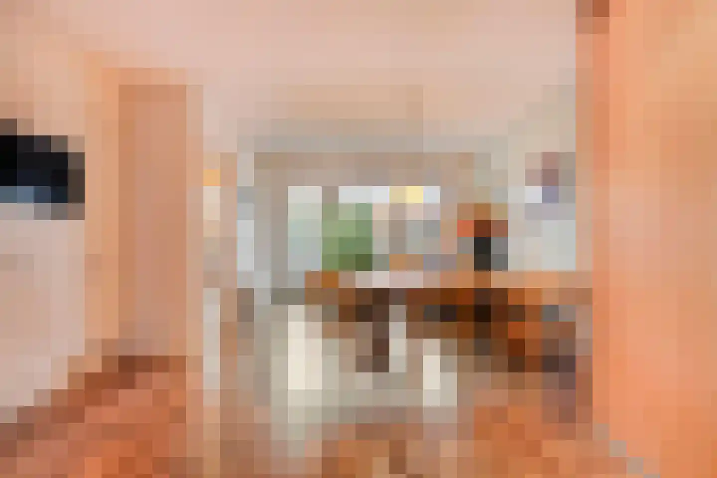 Langestraat 10 Genemuiden thumbnail 10