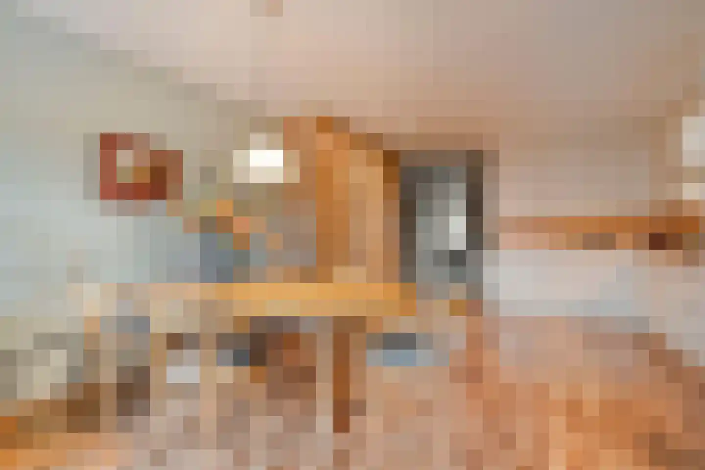 Langestraat 10 Genemuiden thumbnail 12
