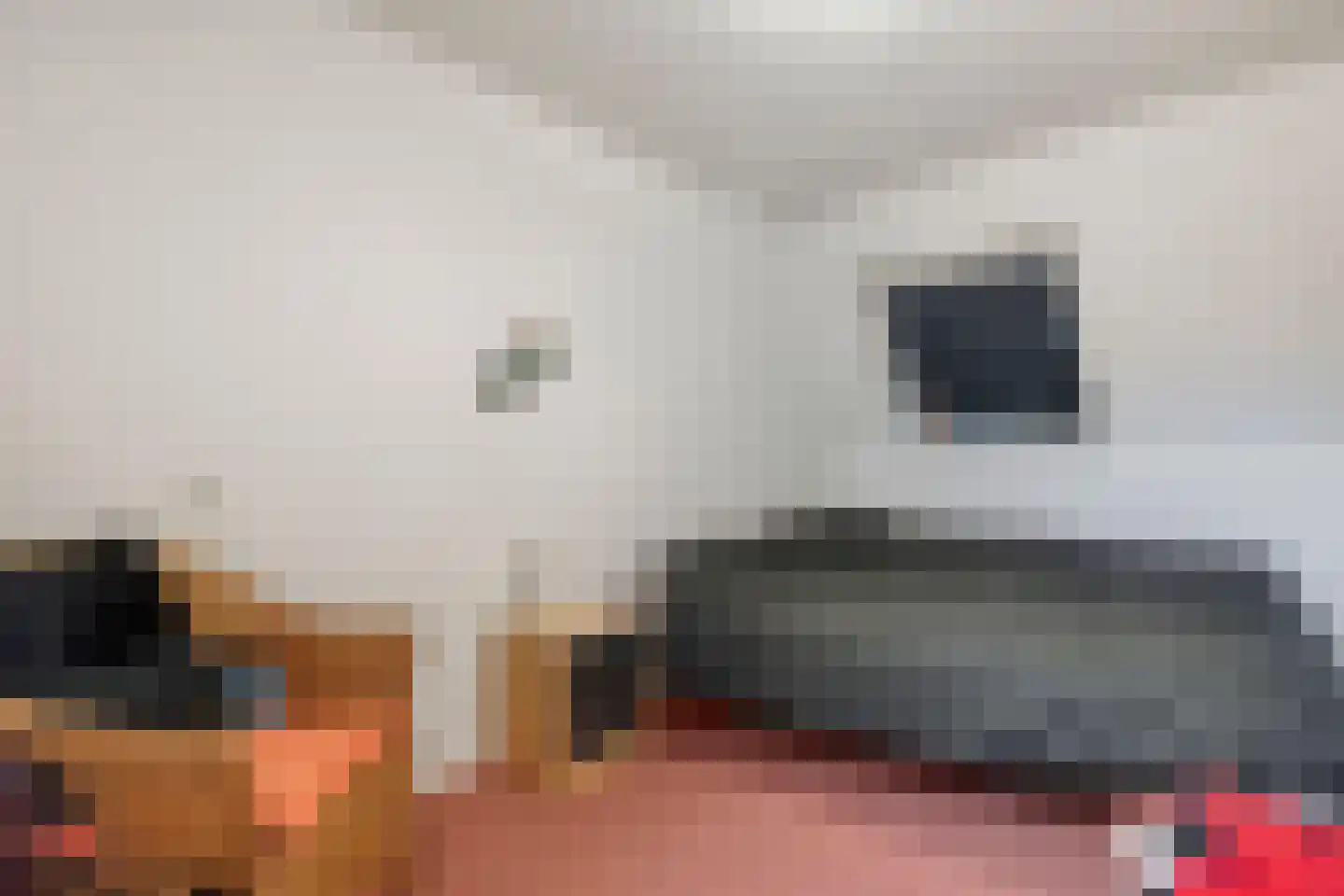 Langestraat 10 Genemuiden thumbnail 18