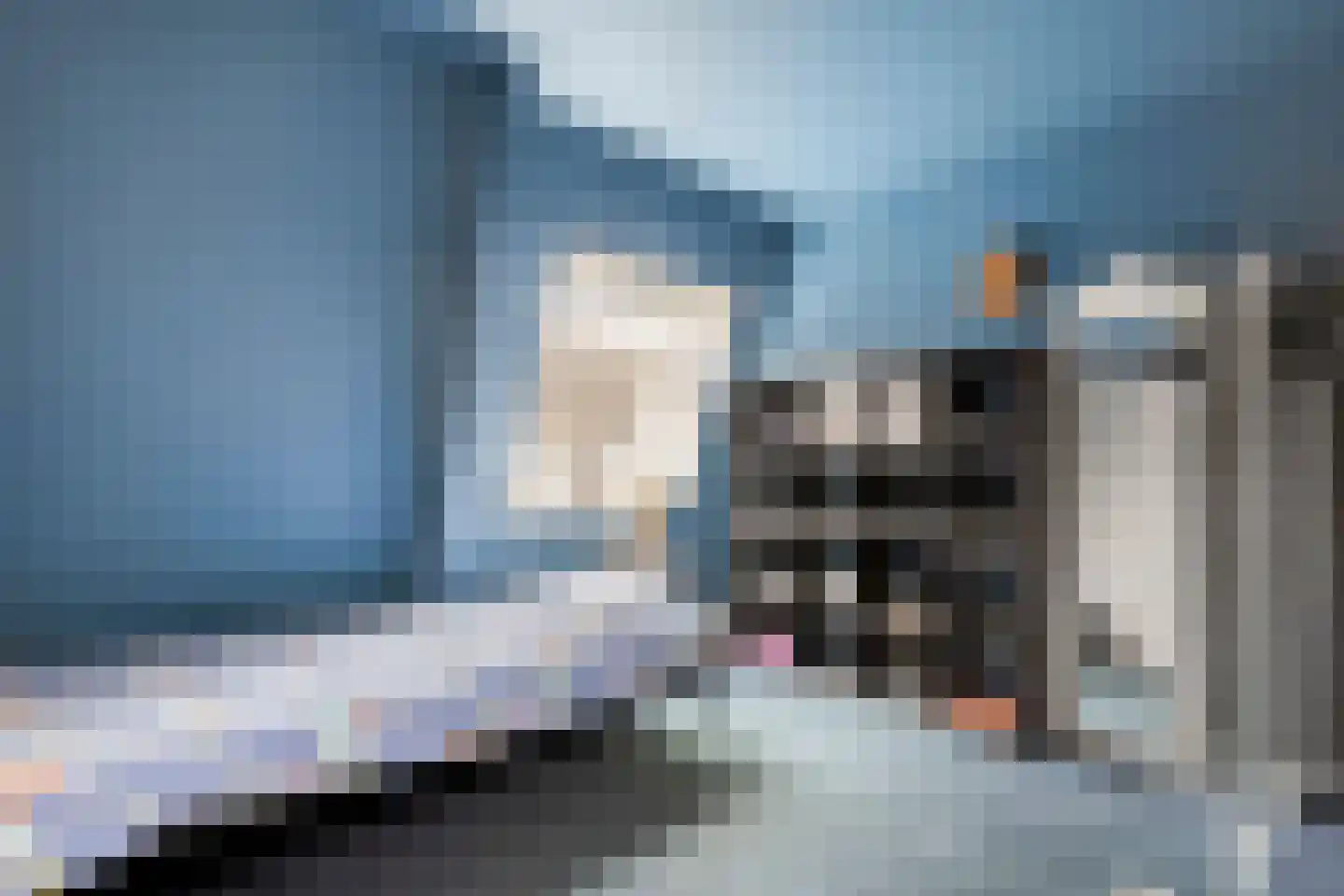 Langestraat 10 Genemuiden thumbnail 20