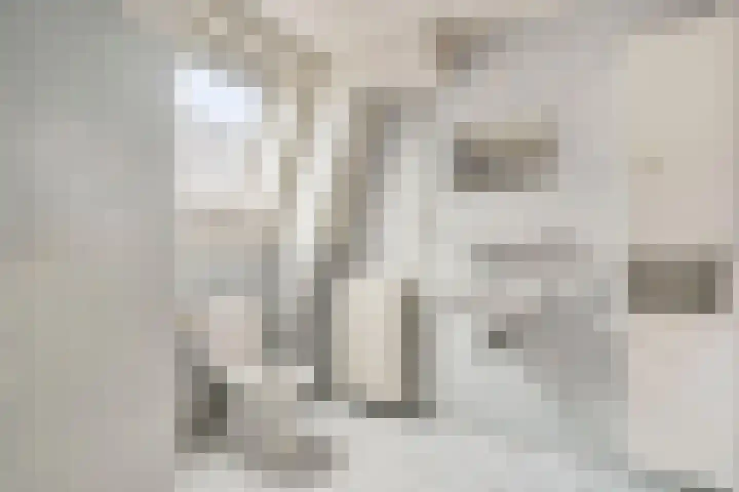 Langestraat 10 Genemuiden thumbnail 23