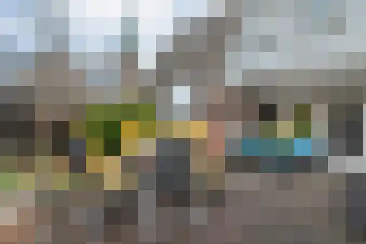 Langestraat 10 Genemuiden thumbnail 27