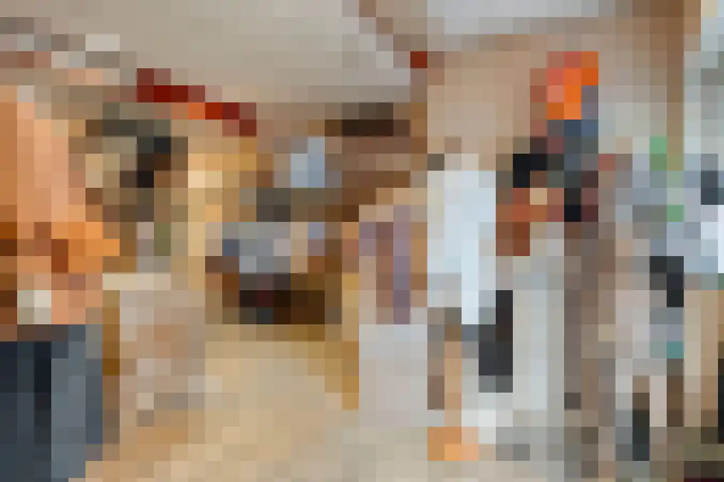 Langestraat 10 Genemuiden thumbnail 31