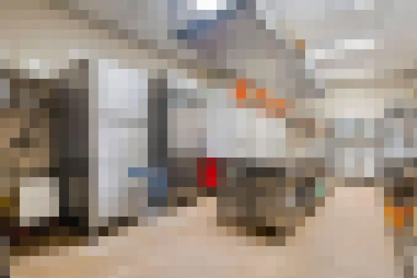 Langestraat 10 Genemuiden thumbnail 43