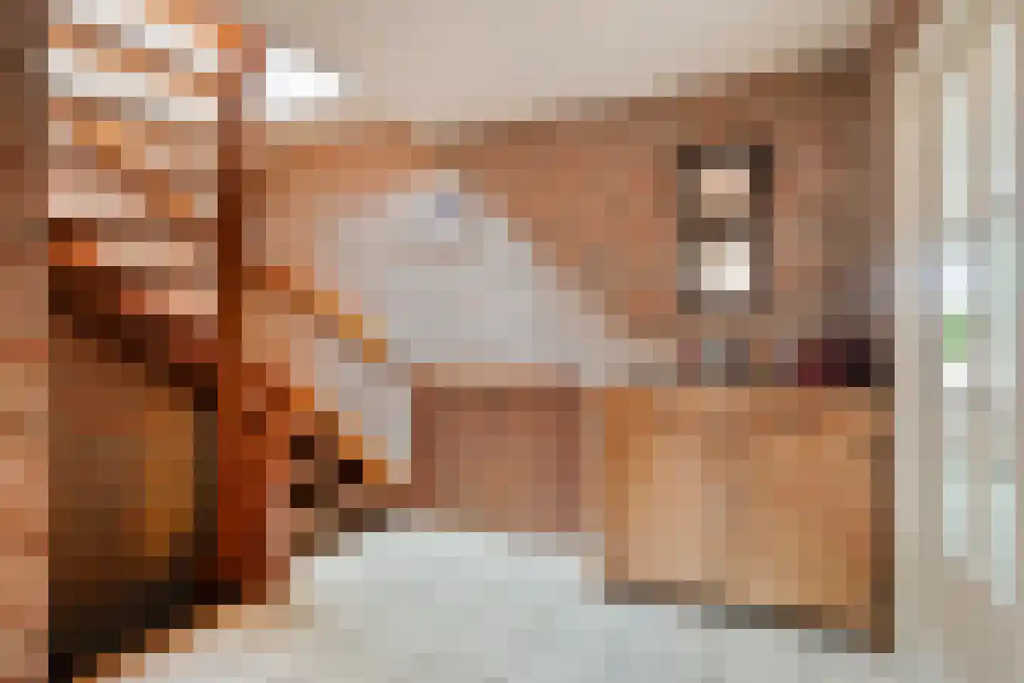 Langestraat 10 Genemuiden thumbnail 5
