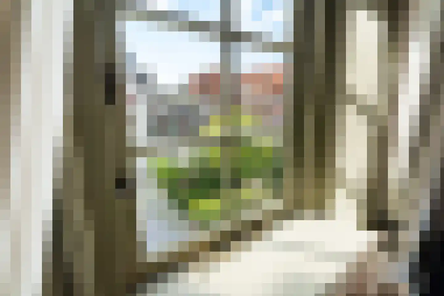 Langestraat 10 Leiden thumbnail 53