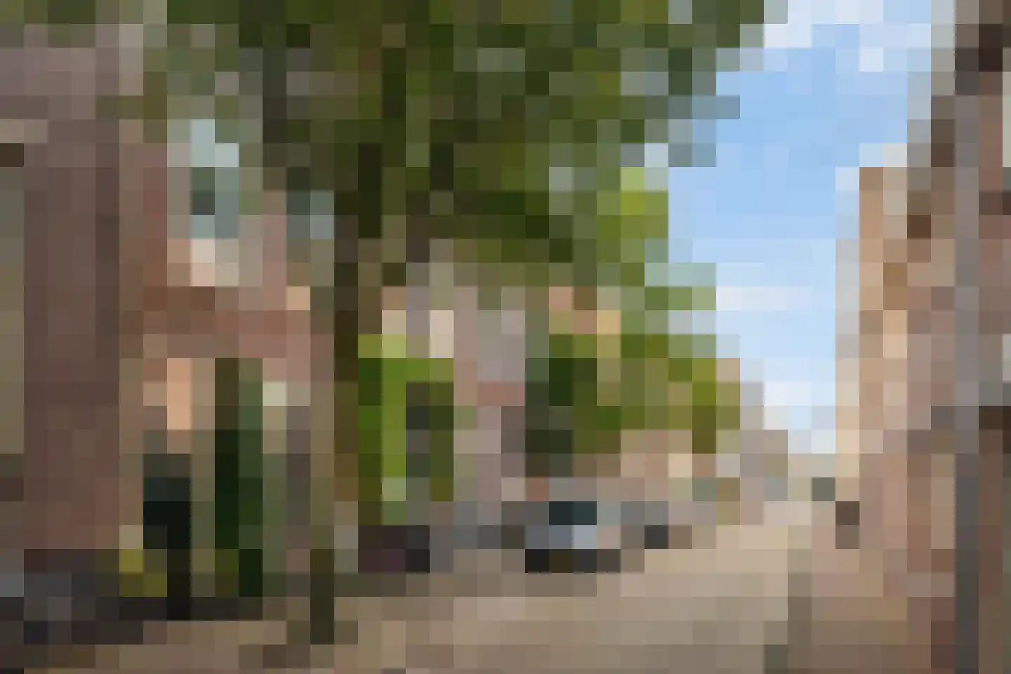 Langestraat 10 Leiden thumbnail 8