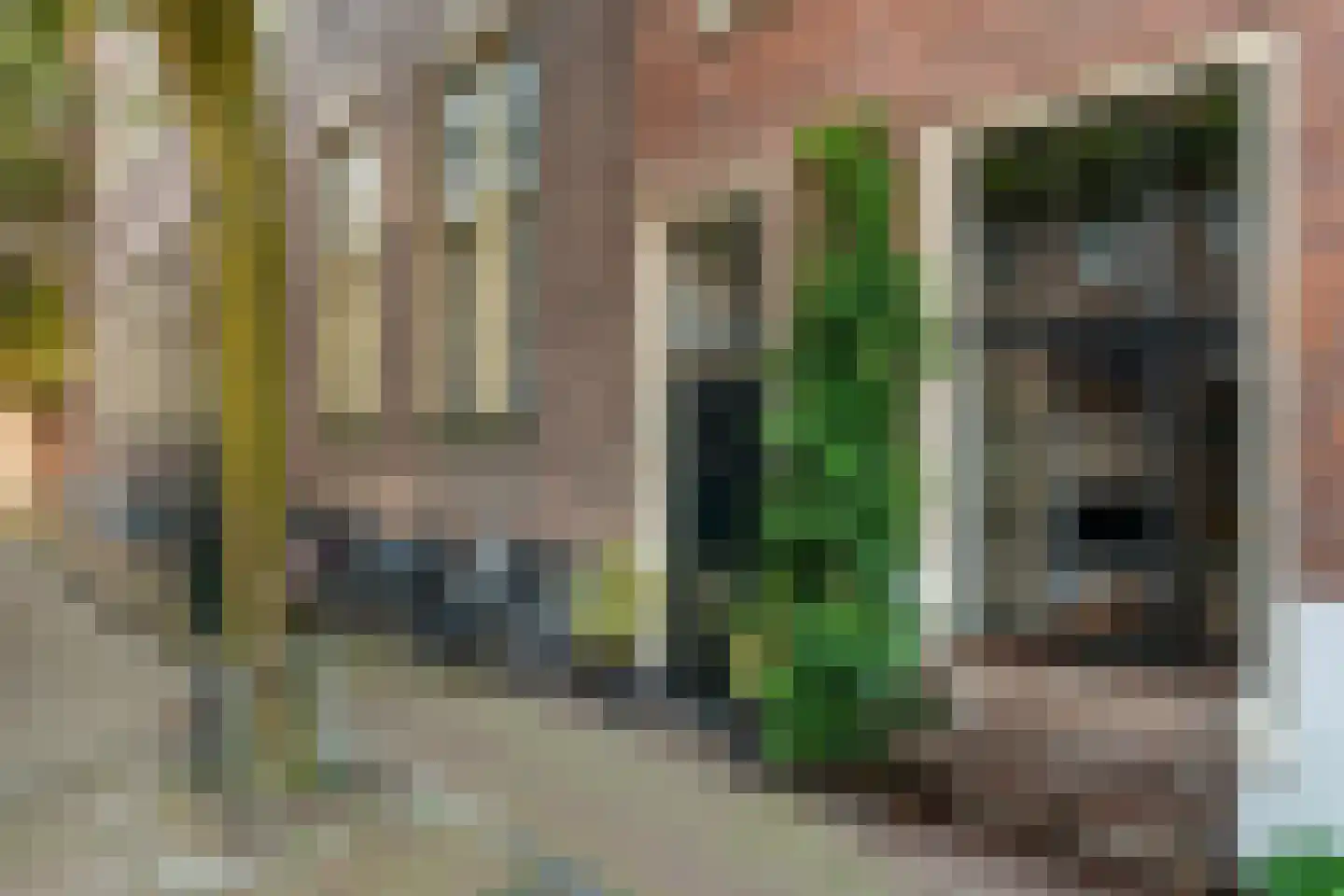 Langestraat 10 Leiden thumbnail 9